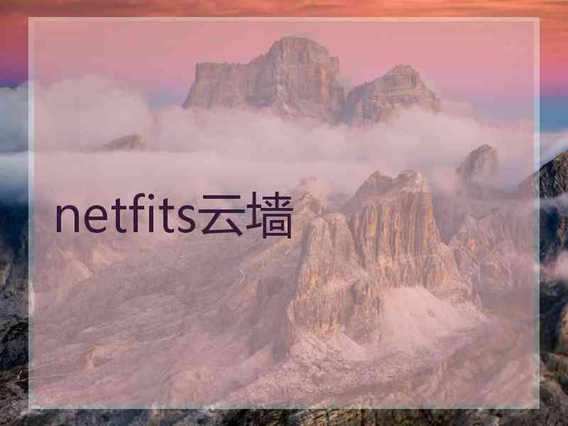 netfits云墙