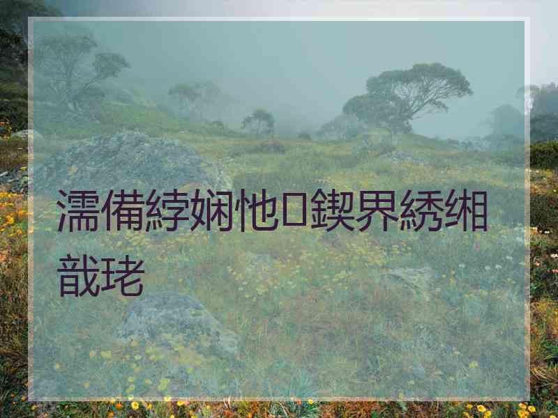 濡備綍娴忚鍥界綉缃戠珯