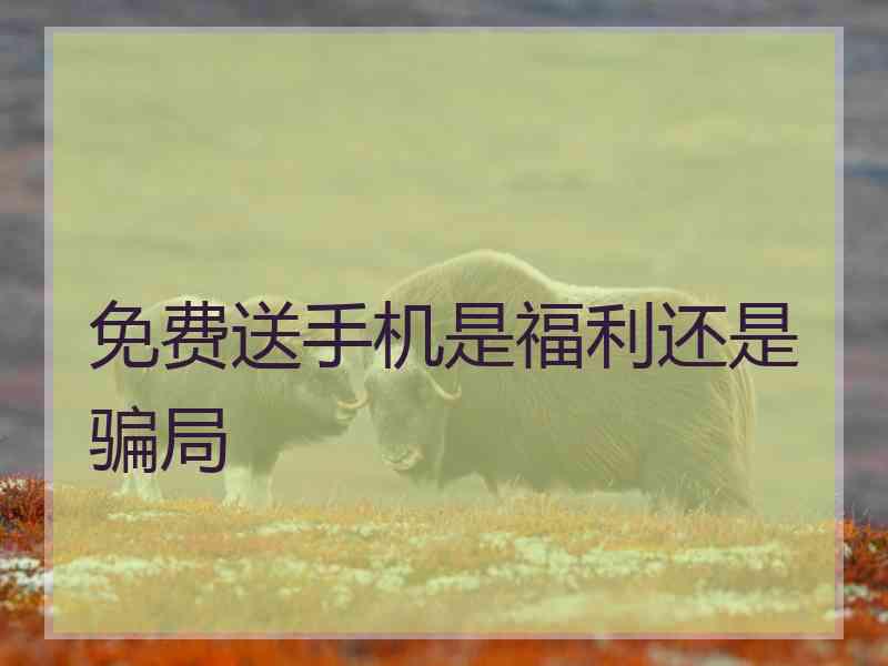免费送手机是福利还是骗局