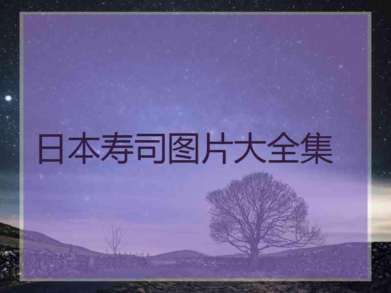 日本寿司图片大全集