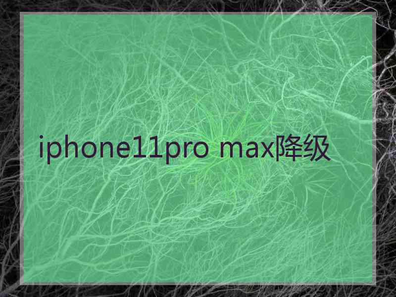 iphone11pro max降级