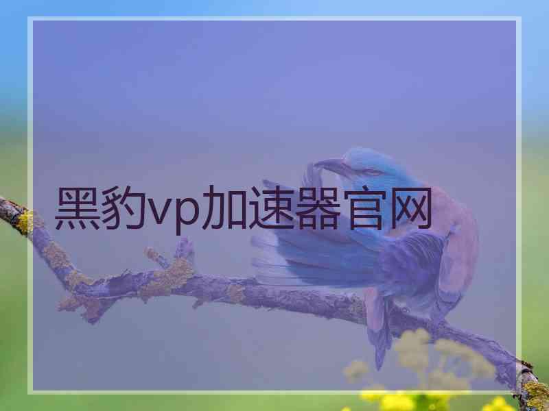 黑豹vp加速器官网