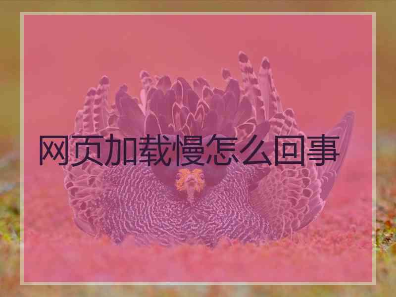 网页加载慢怎么回事