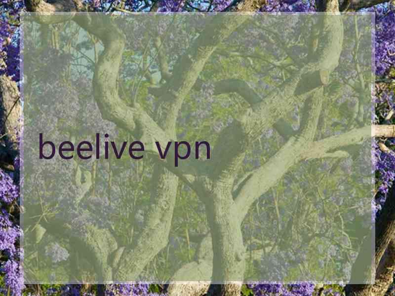 beelive vpn