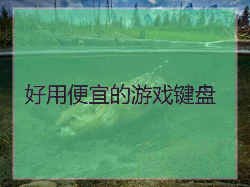 好用便宜的游戏键盘