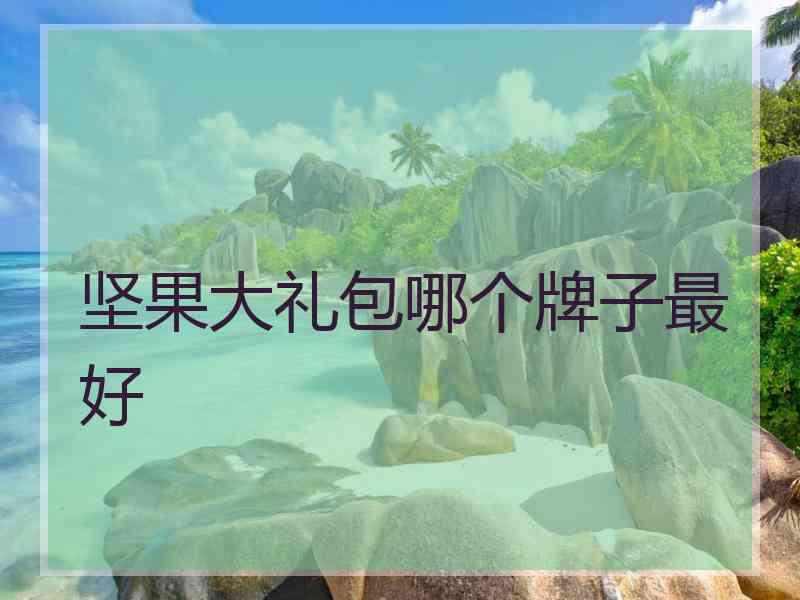 坚果大礼包哪个牌子最好