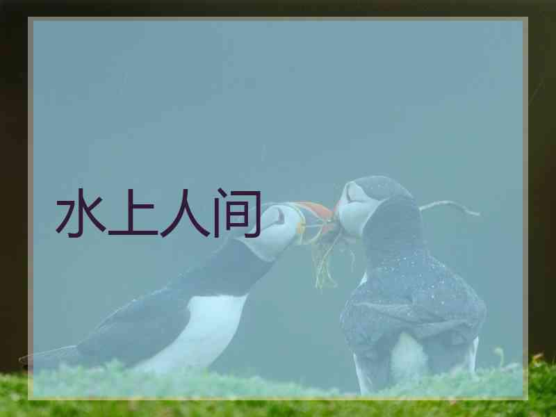 水上人间
