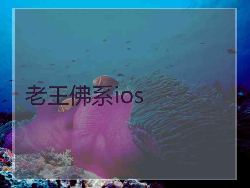 老王佛系ios