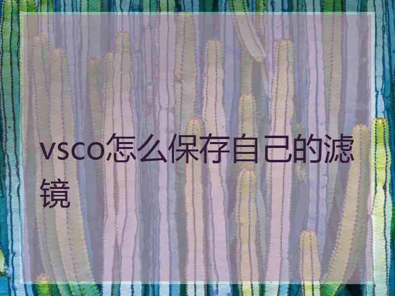vsco怎么保存自己的滤镜