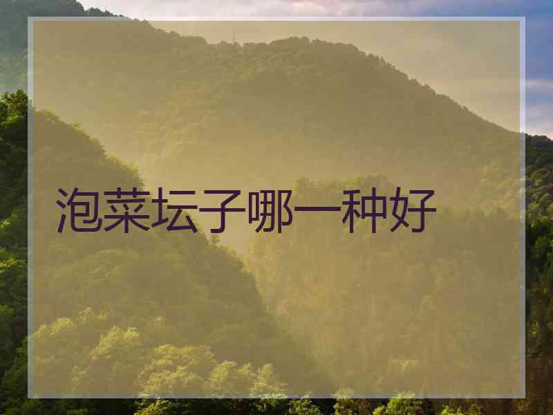 泡菜坛子哪一种好