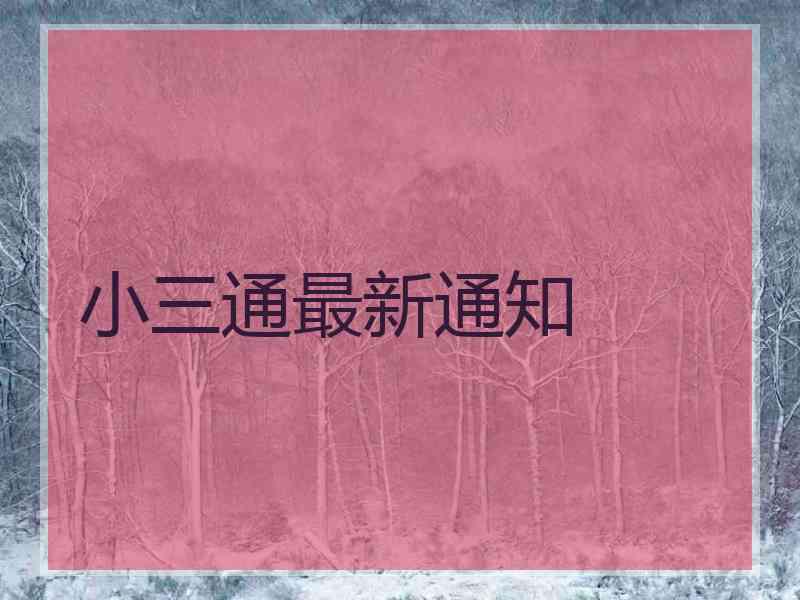 小三通最新通知