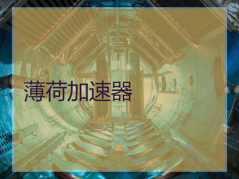 薄荷加速器