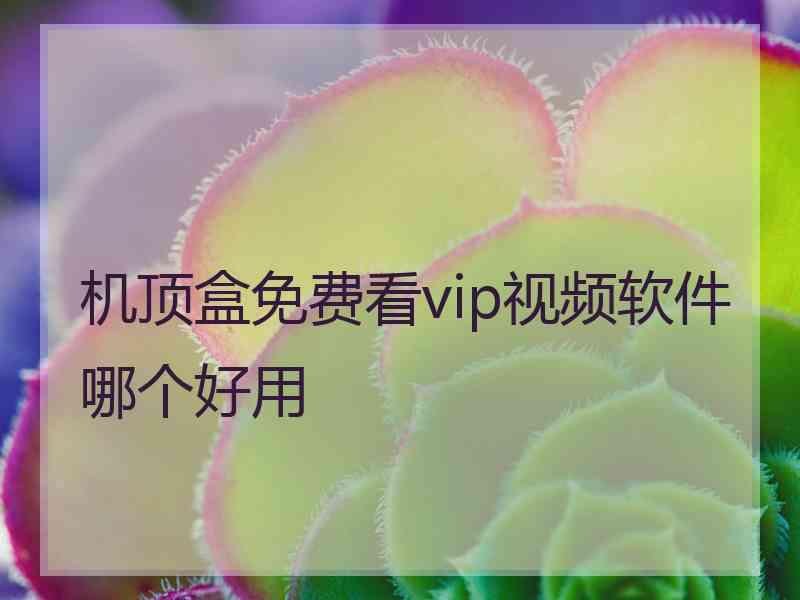 机顶盒免费看vip视频软件哪个好用