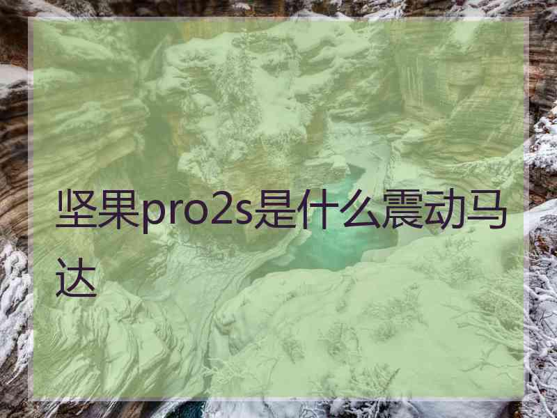 坚果pro2s是什么震动马达
