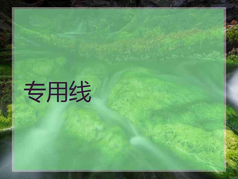 专用线