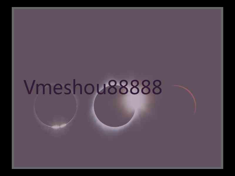 Vmeshou88888