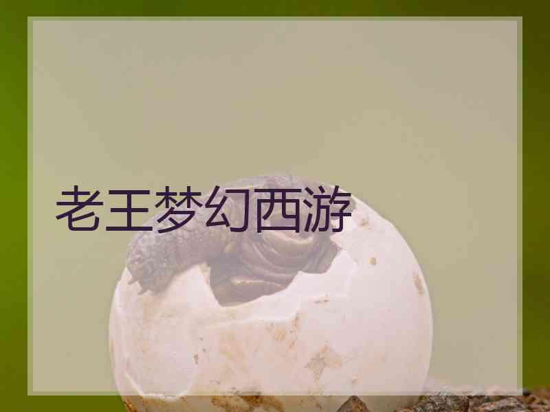 老王梦幻西游