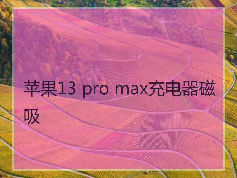 苹果13 pro max充电器磁吸