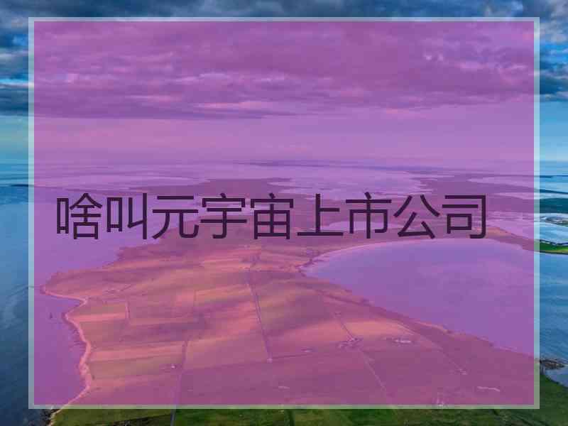 啥叫元宇宙上市公司