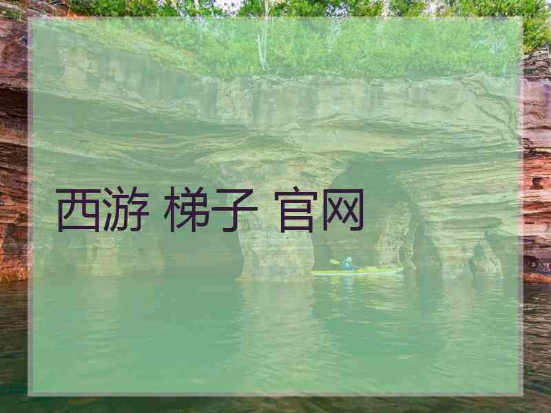 西游 梯子 官网