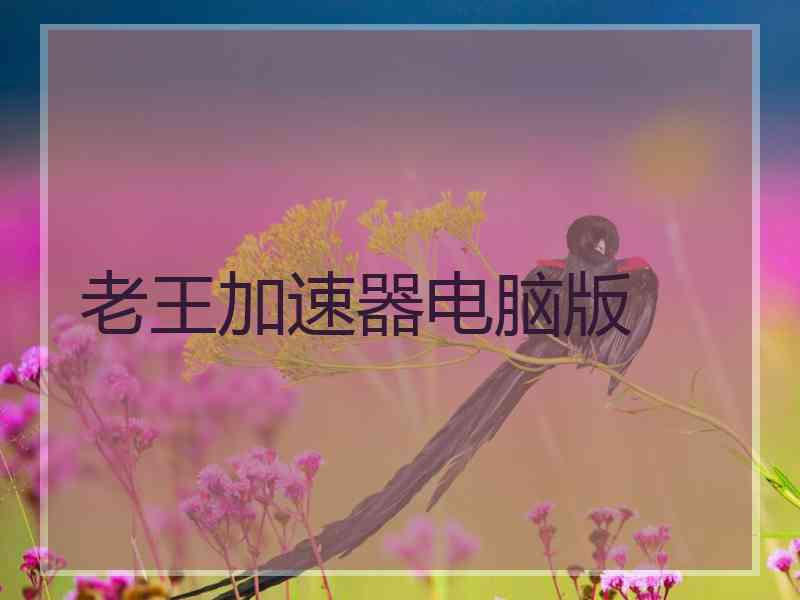 老王加速器电脑版