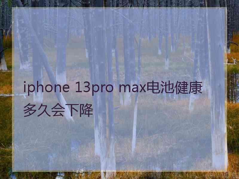 iphone 13pro max电池健康多久会下降
