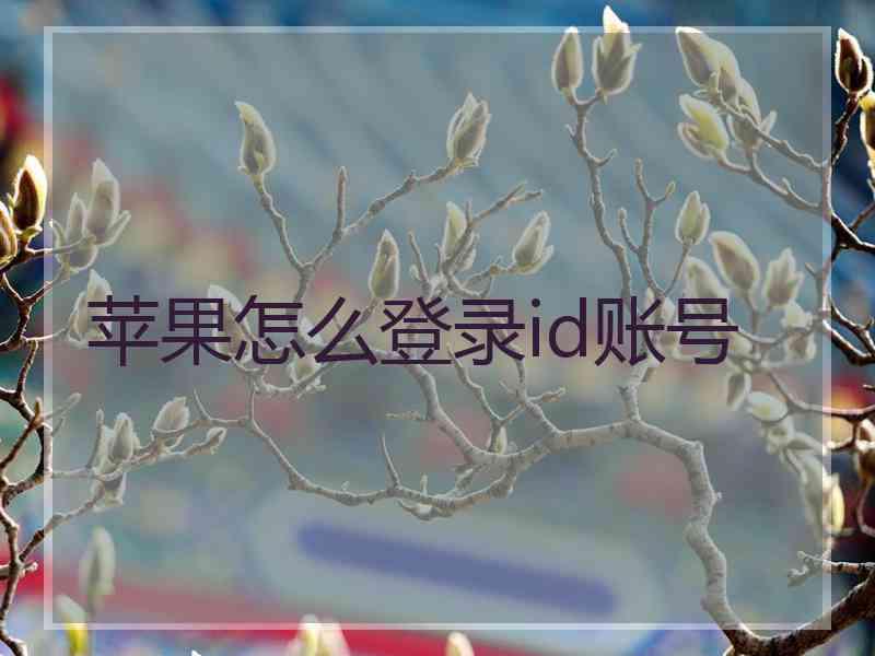 苹果怎么登录id账号