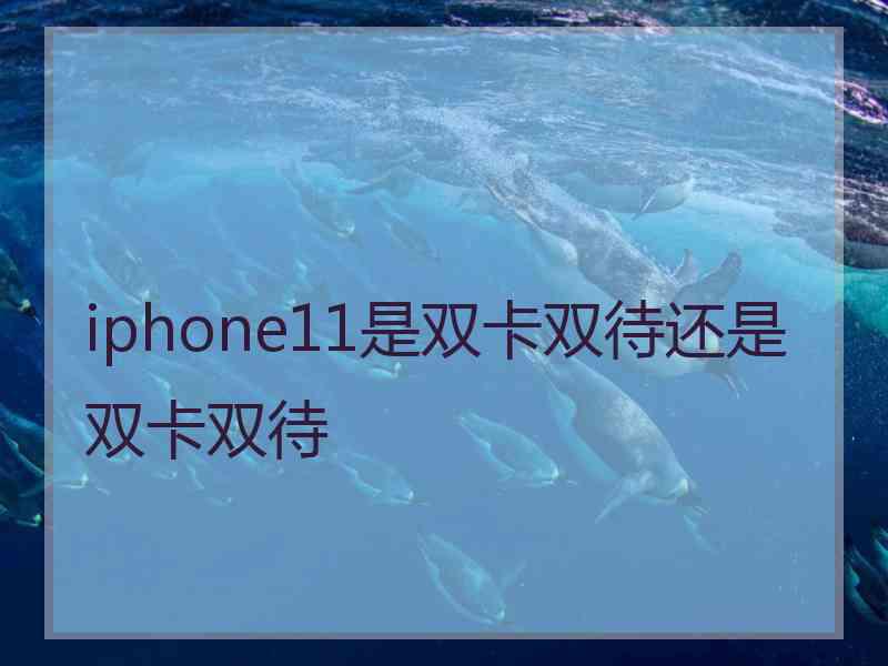 iphone11是双卡双待还是双卡双待