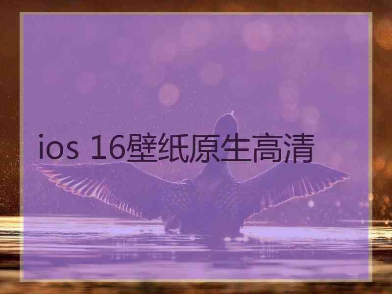 ios 16壁纸原生高清