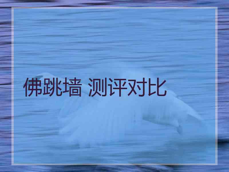 佛跳墙 测评对比