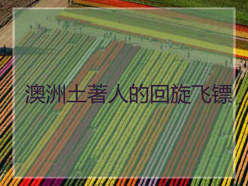 澳洲土著人的回旋飞镖