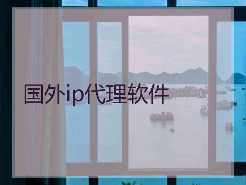 国外ip代理软件