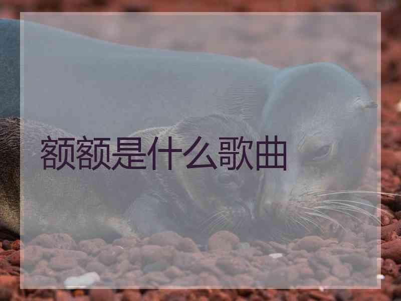 额额是什么歌曲