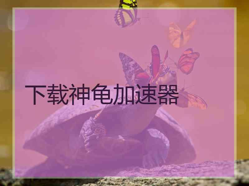 下载神龟加速器