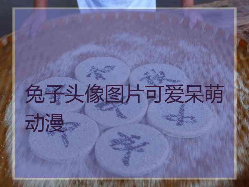 兔子头像图片可爱呆萌动漫