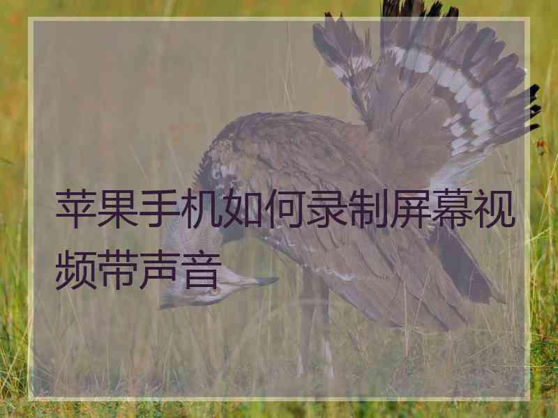 苹果手机如何录制屏幕视频带声音