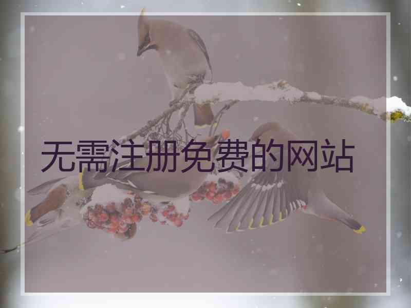 无需注册免费的网站