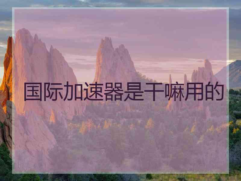 国际加速器是干嘛用的