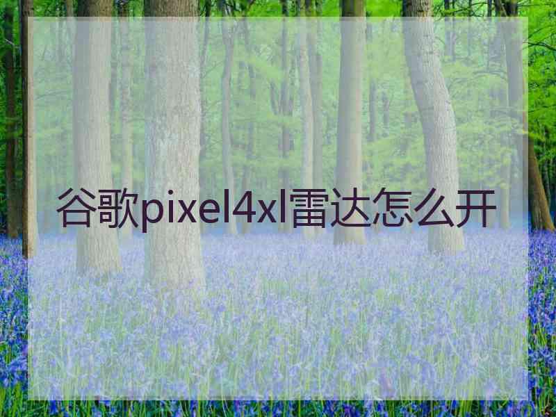 谷歌pixel4xl雷达怎么开