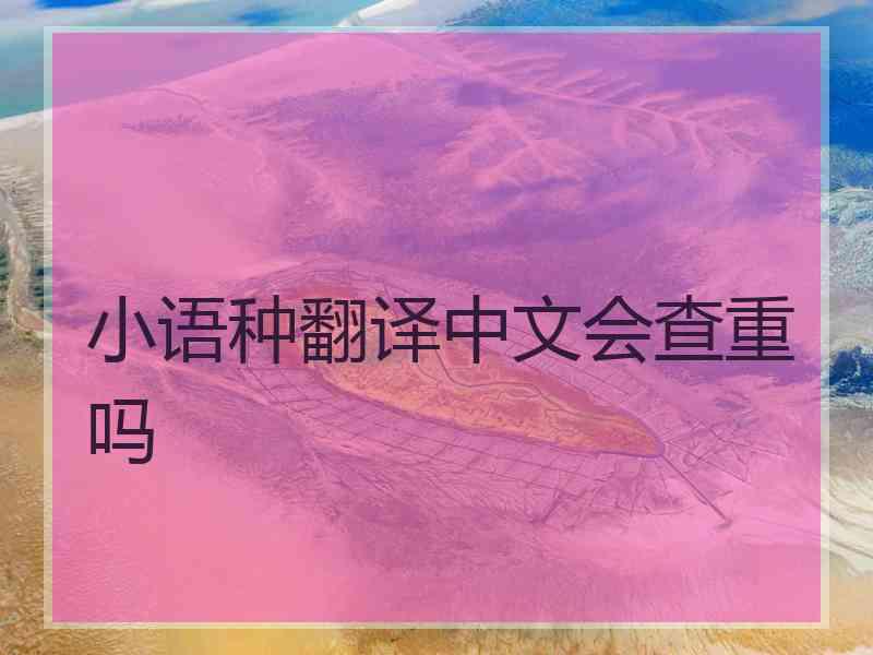 小语种翻译中文会查重吗