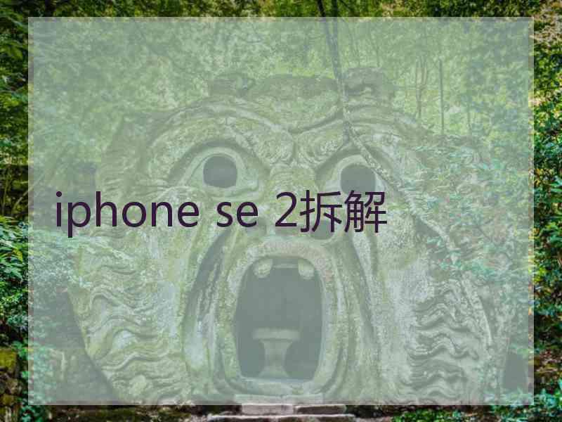 iphone se 2拆解