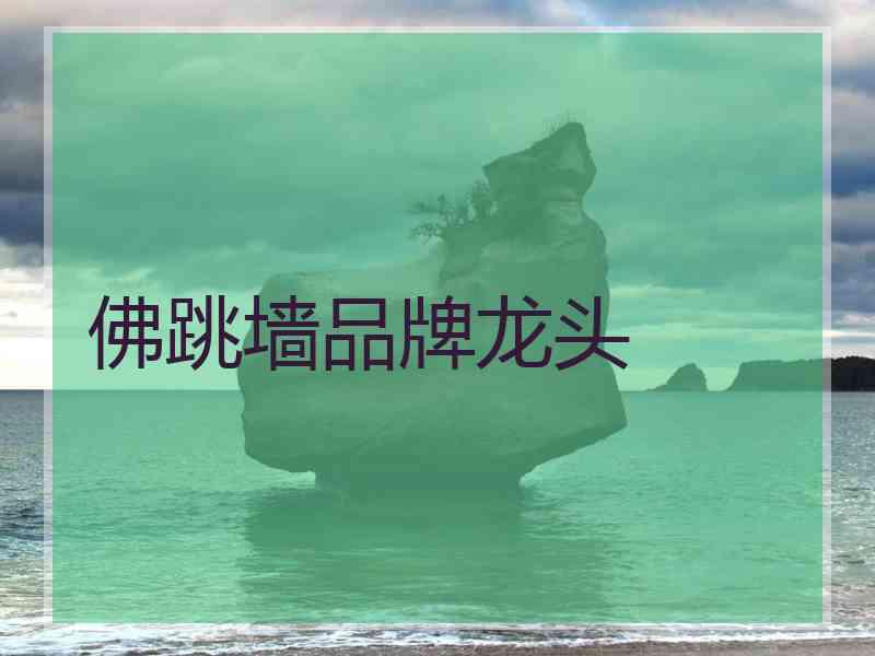 佛跳墙品牌龙头