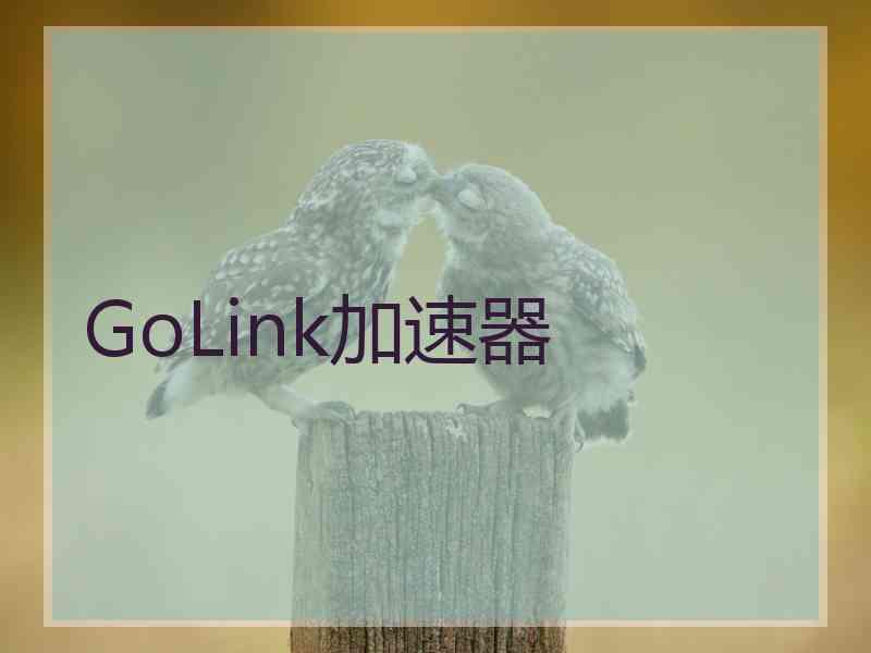 GoLink加速器
