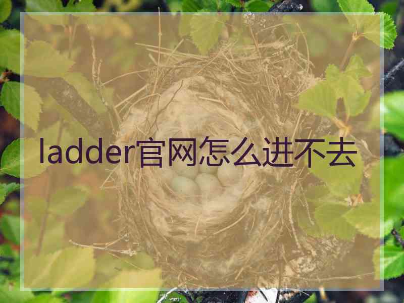 ladder官网怎么进不去