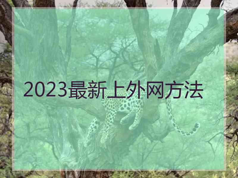 2023最新上外网方法