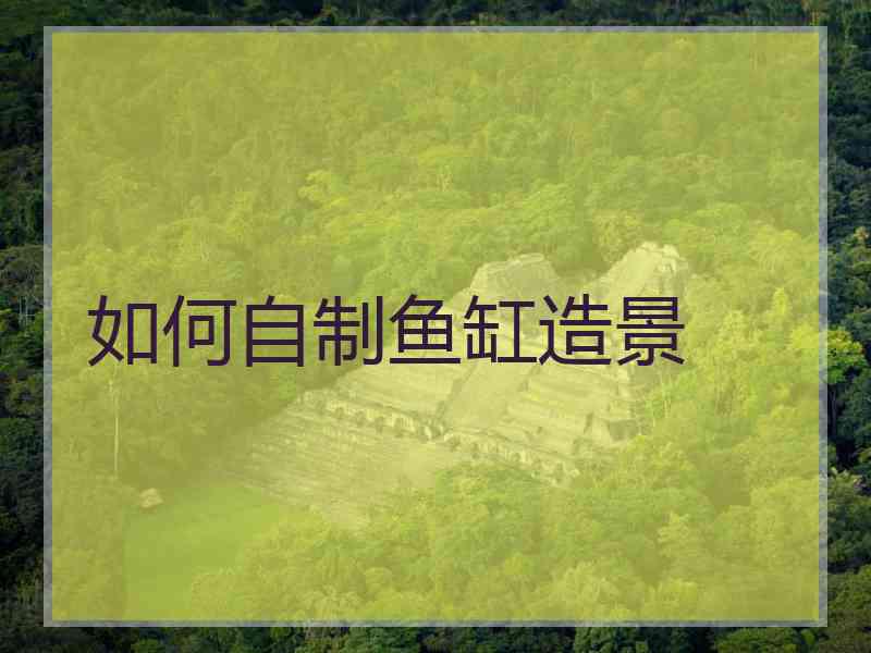 如何自制鱼缸造景