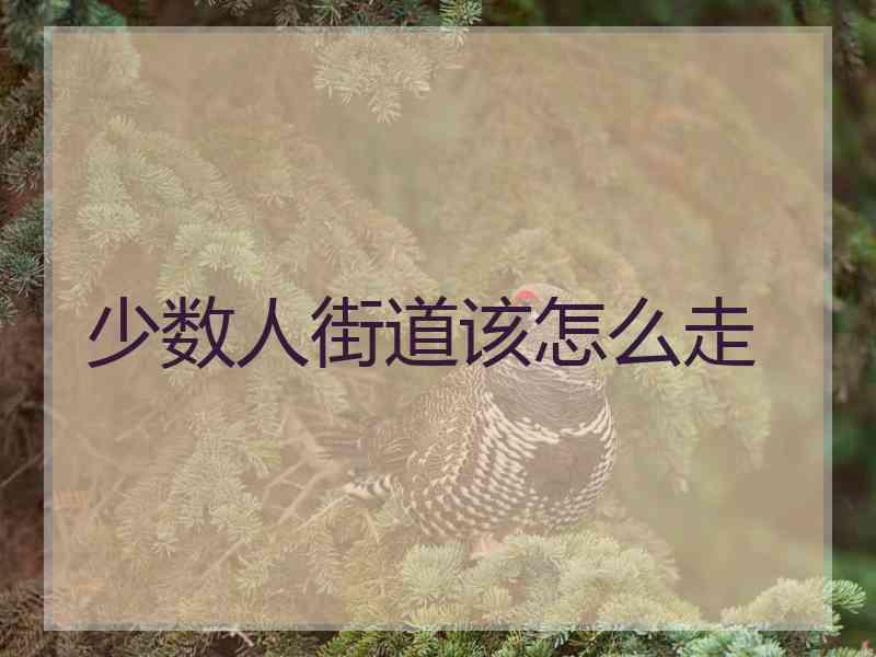 少数人街道该怎么走