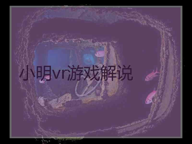 小明vr游戏解说