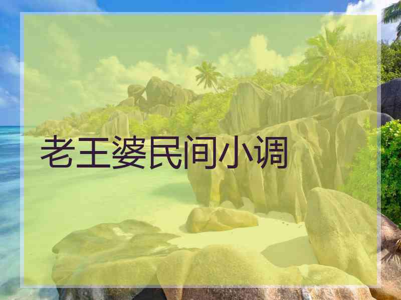 老王婆民间小调