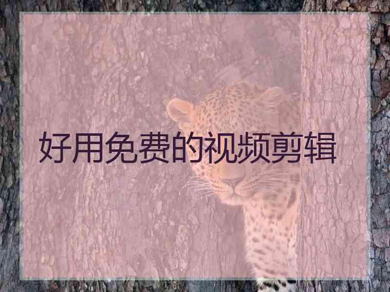 好用免费的视频剪辑